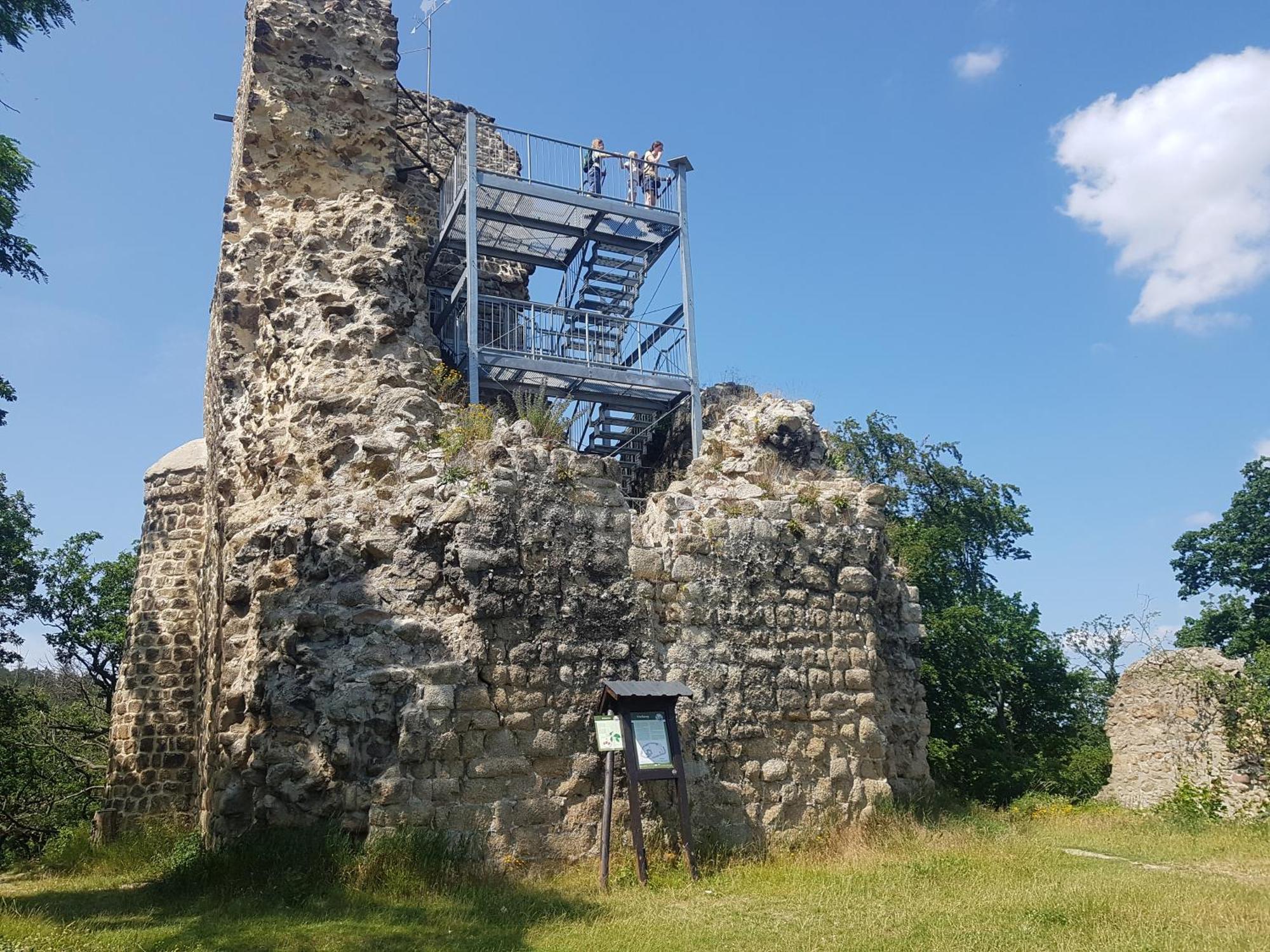Ferienhaus Renate 7 Thale Exterior photo